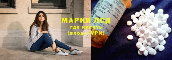 прущие грибы Беломорск