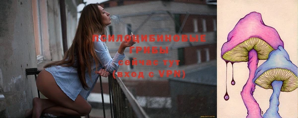 прущие грибы Беломорск