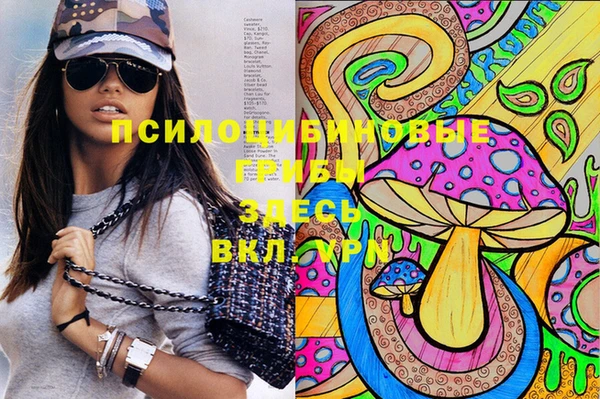 прущие грибы Беломорск