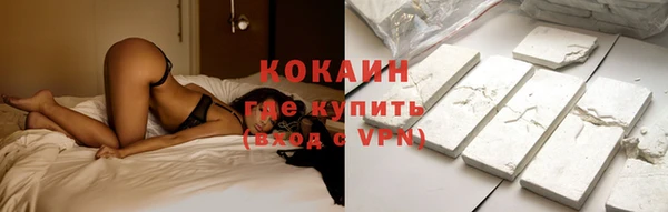 прущие грибы Беломорск