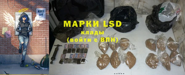 прущие грибы Беломорск