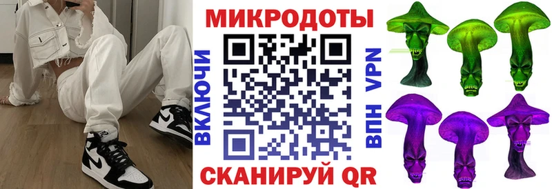 Галлюциногенные грибы Psilocybe Светлогорск