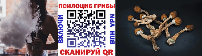сколько стоит  кракен ссылки  Галлюциногенные грибы Cubensis  Светлогорск 